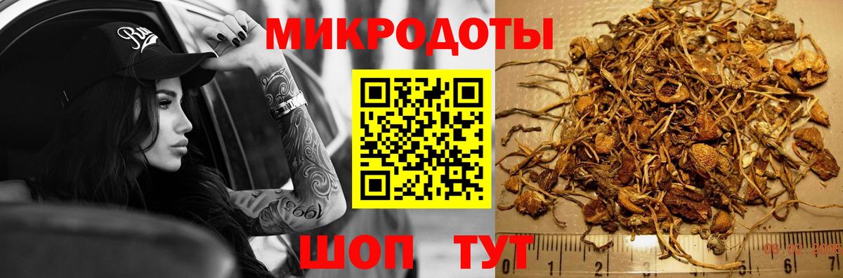 хочу   Вход с VPN  Галлюциногенные грибы GOLDEN TEACHER  Прохладный  Псилоцибиновые грибы мицелий 